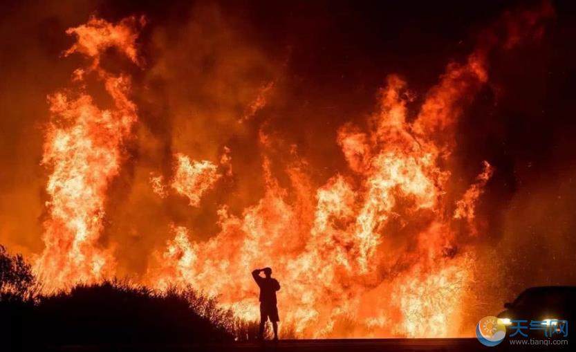 加州山火责任在谁？内政部长和环保人士互相指责