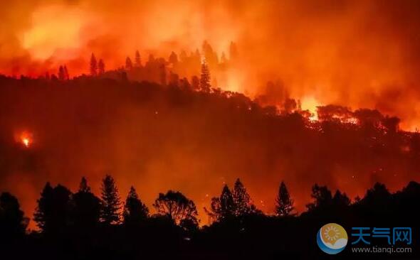 美国加州山火已致84人死亡 失踪者近700人