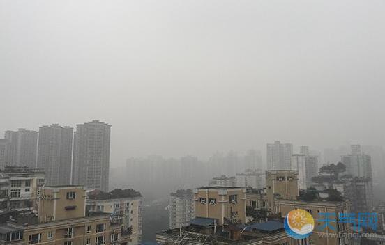 今晨重庆大雾高速暂闭 局地气温最高17℃