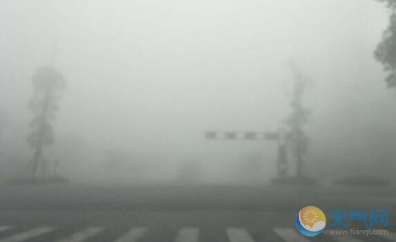 湖南发布大雾黄色预警 省内20条高速交通管制