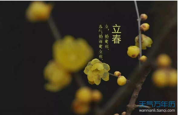 2019立春时间 2019年立春节气的时间有点眼熟啊