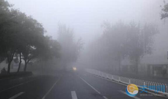 受大雾天气影响 今日北京6条公交绕行甩站