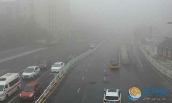 安徽多地浓雾围城 省内多条高速临时关闭