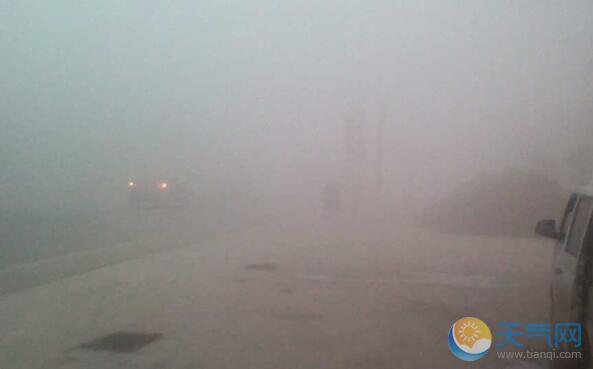 山东发布大雾橙色预警 省内多条高速关闭
