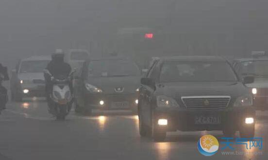 受大雾影响 今晨菏泽高速关闭客运停运