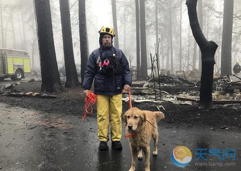 美国加州山火完全扑灭 两星期烧死85人249人找不到