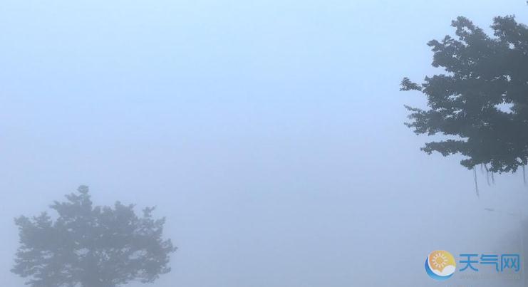 广西桂林荔浦县城浓雾笼罩 能见度不足20米如罩白纱