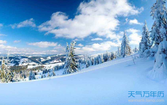 2020大雪是几月几日 2020年大雪是什么时候