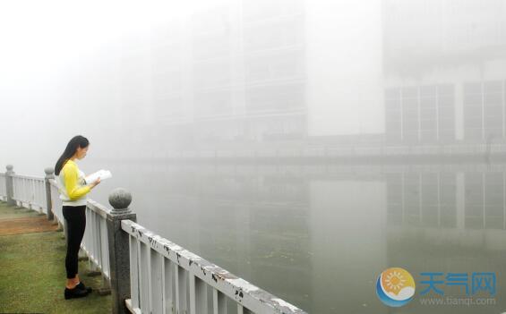 今早湖北多地出现大雾 局地气温回升至22℃