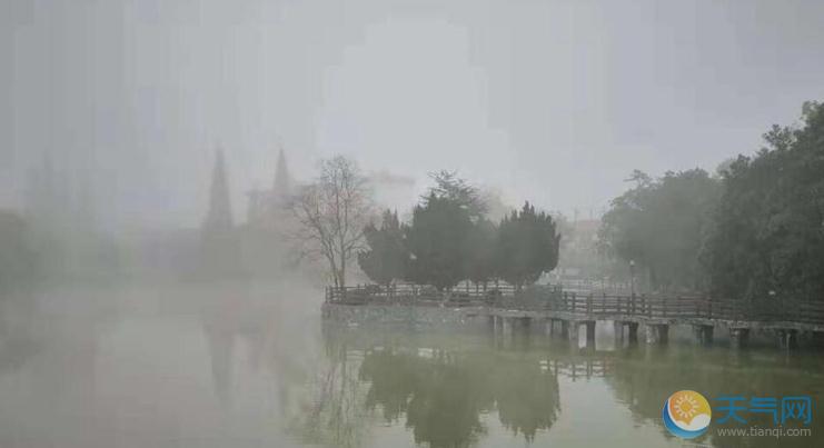 大雾橙色预警连发4天：河南山东安徽江苏湖南有浓雾