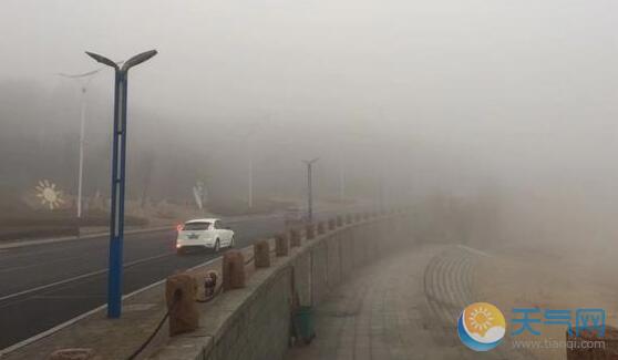 烟台发布大雾橙色预警 市内多条高速暂闭