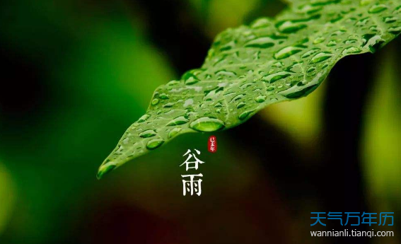 2020谷雨是几月几日 今年谷雨是几点几分