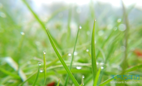 2019雨水是几月几号 雨水节气的含义是什么