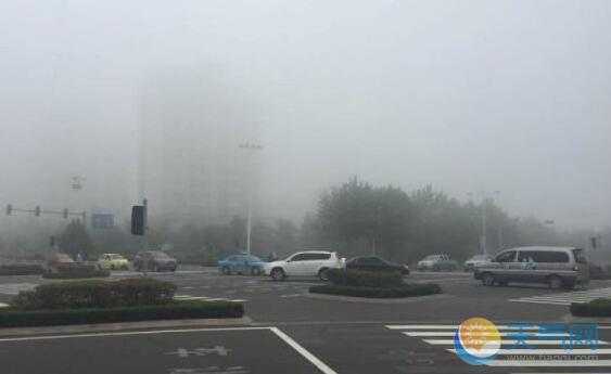受大雾影响 日照多条高速路段暂时关闭