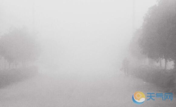 受大雾天气影响 青岛汽车总站部分线路停运