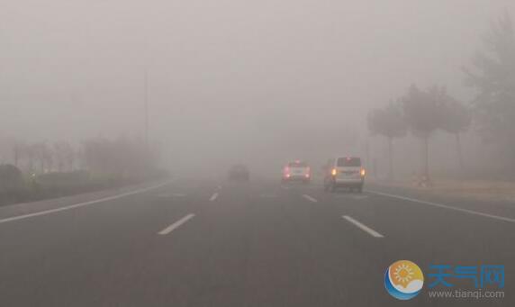 烟台发布大雾橙色预警 市内多条高速暂闭