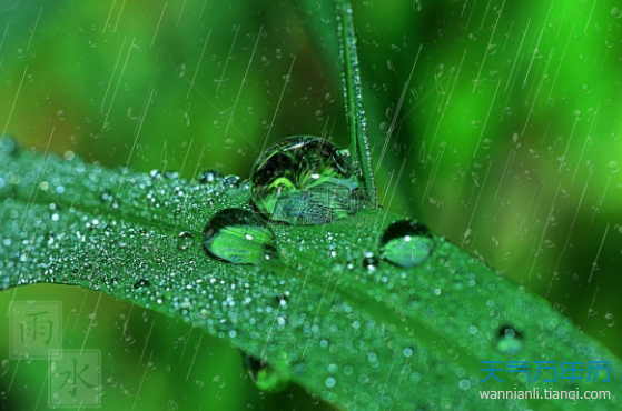 2019雨水是几月几号 雨水节气的含义是什么