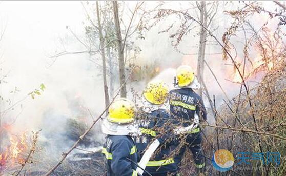 四川自贡突发山火 消防及时扑灭无人员伤亡