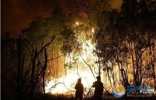 澳大利亚昆士兰山火频发 中使馆提醒公民防范