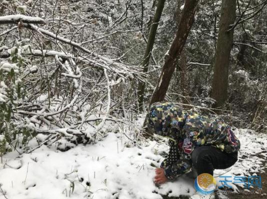 浙江杭州下雪怎么回事 大部气温降至0℃浙北大雪