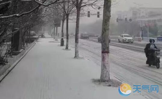 受降雪及大雾影响 青岛多条高速封闭