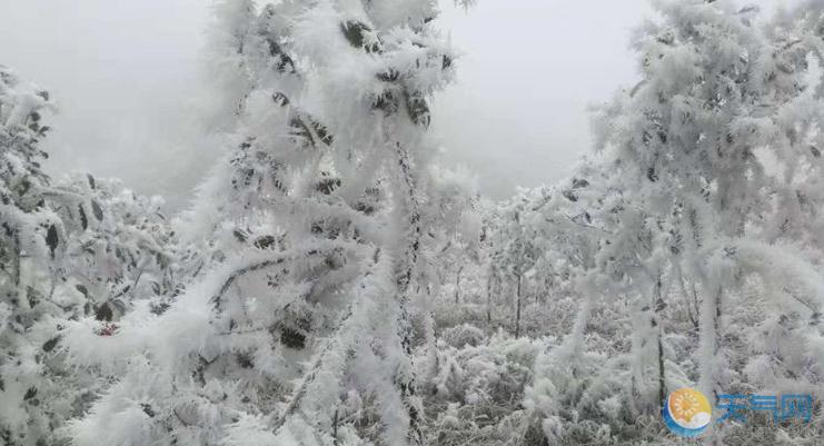 重庆石柱大范围降温降雪 多地道路结冰发橙色预警