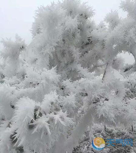 重庆石柱大范围降温降雪 多地道路结冰发橙色预警