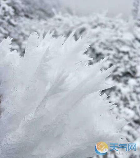 重庆石柱大范围降温降雪 多地道路结冰发橙色预警