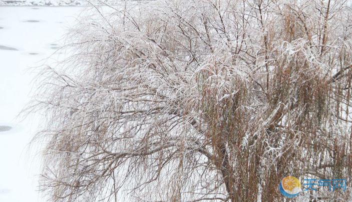 山东威海今再迎降雪 市民雪中出行风中俏丽