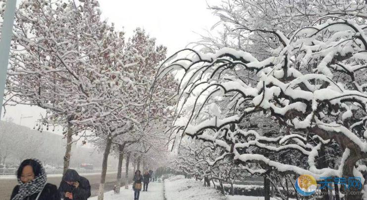 山东雪窝烟台再遇强降雪 今冬第二场大雪发暴雪蓝色预警