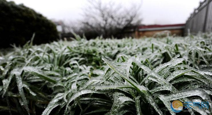 中东部气温持续走低迎寒潮 山东半岛现强风雪