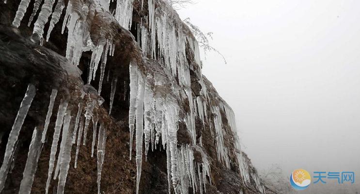 重庆黔江八面山冻雨持续 雾凇冰挂奇观吸引游人