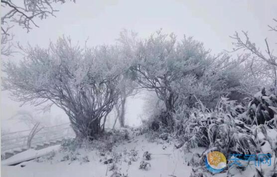受大雪天气影响 浙江多个景区暂时关闭