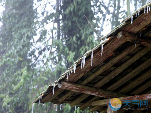 雨凇是怎么形成的 雨凇和雾凇区别是啥