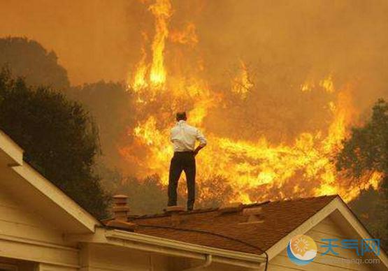美国加州山火索赔90亿 烧毁1.9万民居89人死亡