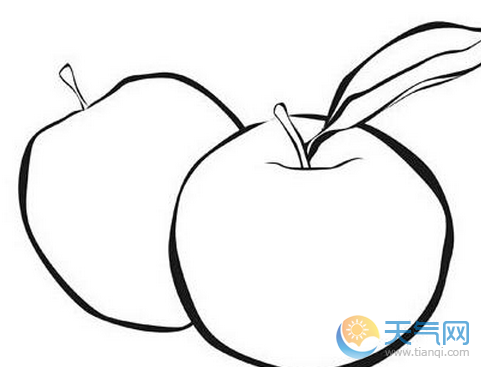 有关平安夜的苹果图片简笔画 简单好看的儿童平安夜苹果简笔画
