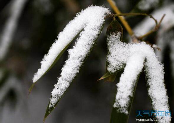 大寒的由来及寓意 大寒节气是什么意思