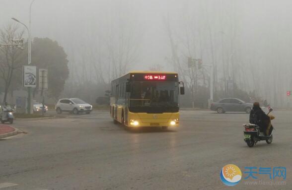 受大雾天气影响 安徽多条高速交通管制