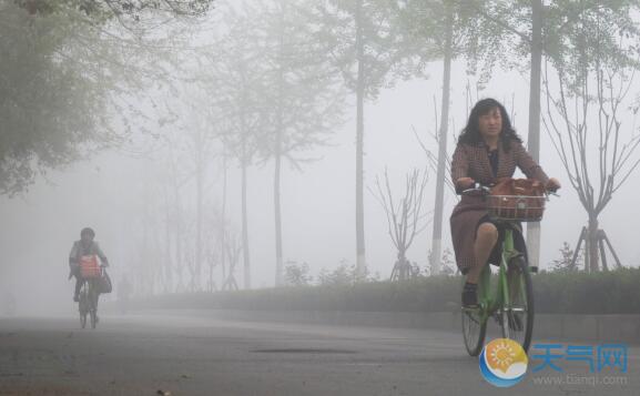 受大雾天气影响 安徽多条高速交通管制