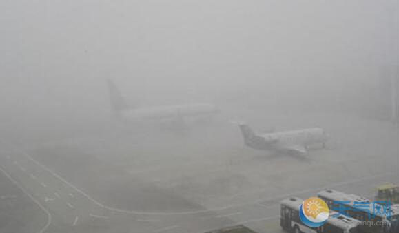 荷兰遭大雾围城一机场关闭 数千名旅客被滞留