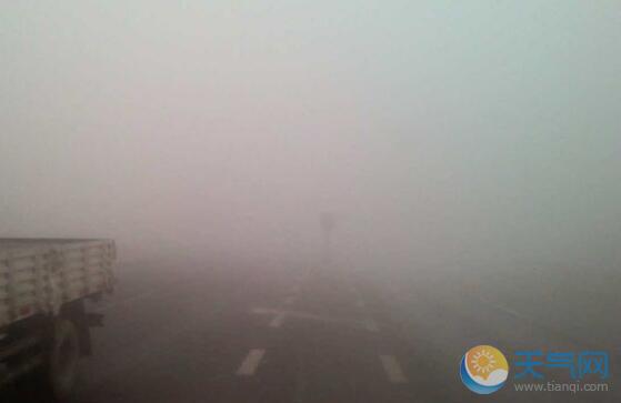 今晨山东遭大雾锁城 多条高速暂时关闭
