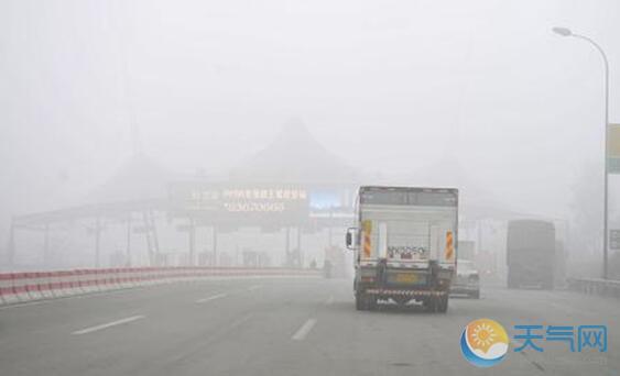 四川泸州大雾橙色预警 多个高速收费站关闭