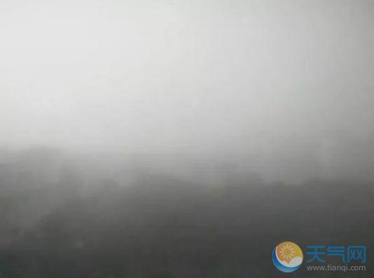 海南多市大雾预警 海口美兰机场航班停止起飞