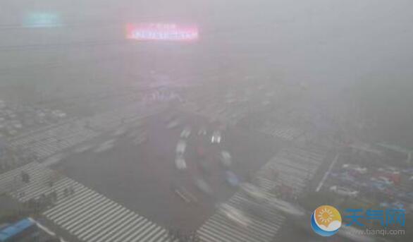 海南多地发布大雾预警 美兰机场40架次航班延误