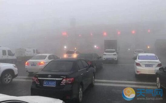 四川内江遭大雾围城 市内多条高速已封闭