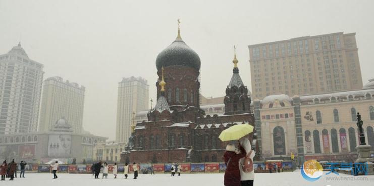 哈尔滨下雪了 冰城人兴奋感动到哭狂拍照