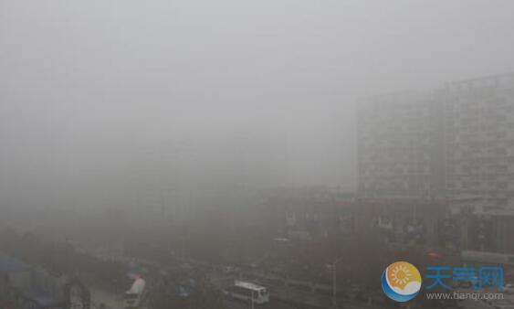 今晨菏泽发布大雾橙色预警 高速封闭公交停运