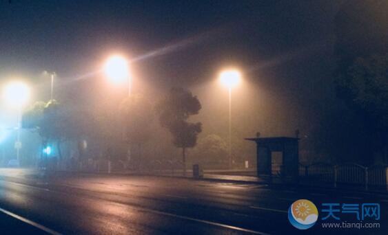 受大雾影响 上海部分高速限速或封闭