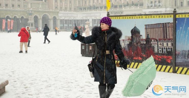 哈尔滨下雪了 冰城人兴奋感动到哭狂拍照