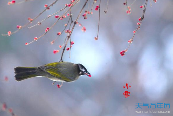 小寒节气特点介绍 小寒节气南北气候差异